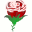 avatar rose