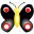 avatar butterfly