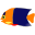 avatar fish
