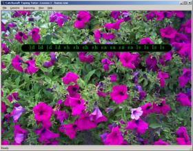 Catchysoft Typing Tutor Screen Shot 2