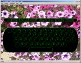 Catchysoft Typing Tutor